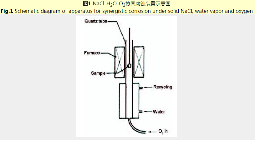 600 ℃/NaCl-H2O-O2协同环境中Ti/TiAlN多层涂层的耐蚀行为